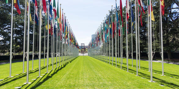 Flags of all the UN member states outside the Palais des Nations, Geneva