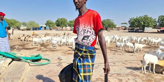 Several pastoralists have lost their livestock. 