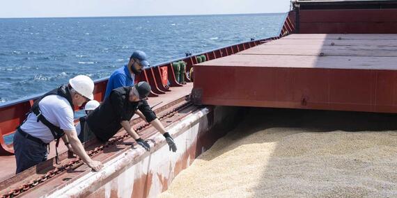 Shipment of grain from Ukraine