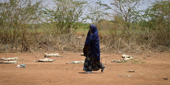 A women walks to find water in Somalia