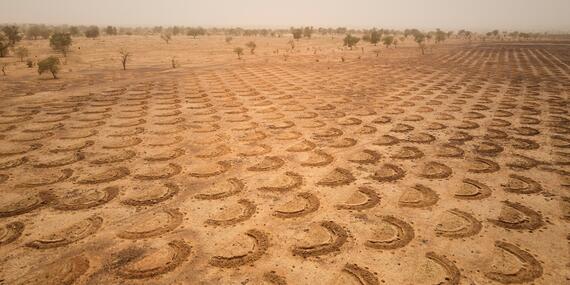 demi lune farming in Niger