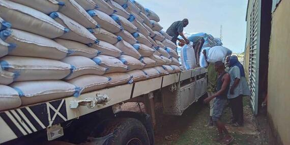 Delivery of sorghum seeds to support smallholder farmers in White Nile State, Sudan