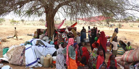 Sudanese refugees shelter under trees in neighbouring Chad