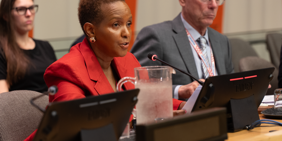 UN Deputy Relief Chief Joyce Msuya speaks at the ECOSOC Humanitarian Affairs Segment in New York.
