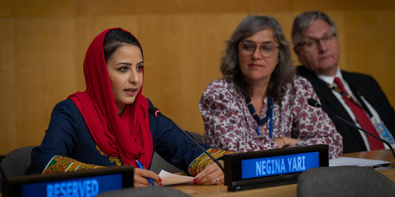 Negina Yari, Chair of the Women's Advisory Group to the Humanitarian Country Team in Afghanistan