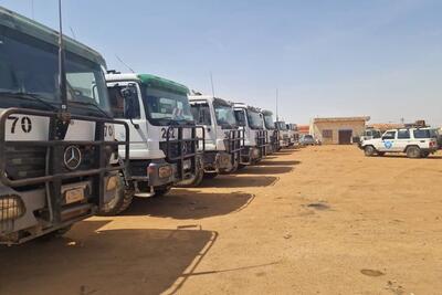 Rows of trucks parked along an untarred road.