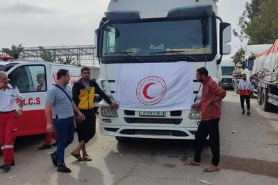 Loaded trucks, one of them with a Red Crescent are parked on a road.