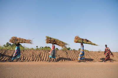 Women carrying bunches of dry papyrus reeds on their heads walks past a dyke made of soil.