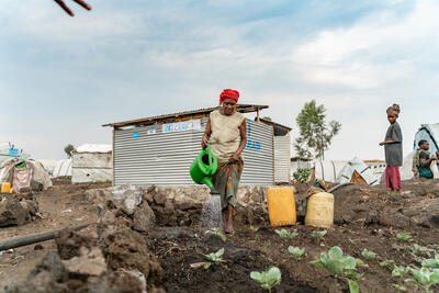 A woman tends to her cabbage crops in a small garden adjacent to her shelter within the Bulengo displacement site, DRC