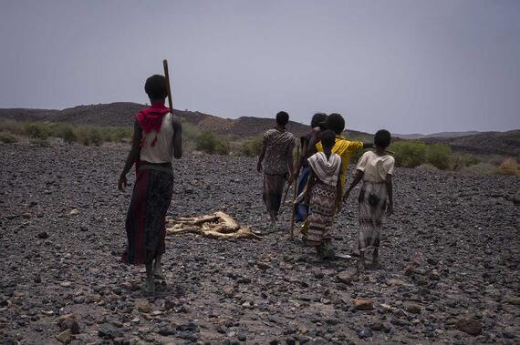 Men and children walk past the carcass of a dead animal in Ethiopia’s Afar region. 