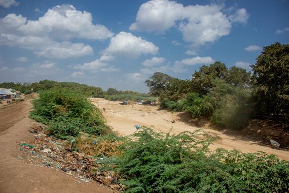 A dried up river during the drought