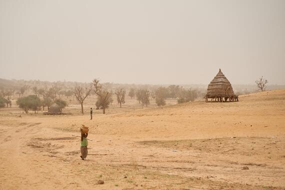 Sever drought in Niger