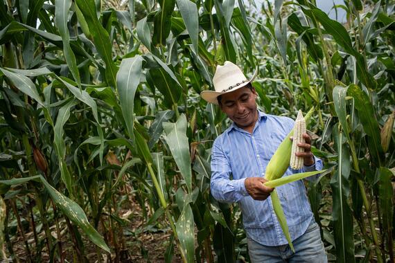 A Guatemalan farmer with his maize.