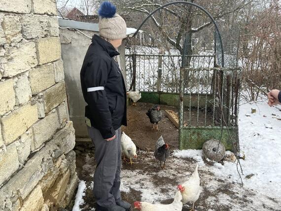 A woman looks at a hen and chickens near her feet. There is snow in the background.