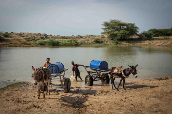 a donkey cart carrying a huge plastic container beside a reservoir of water.