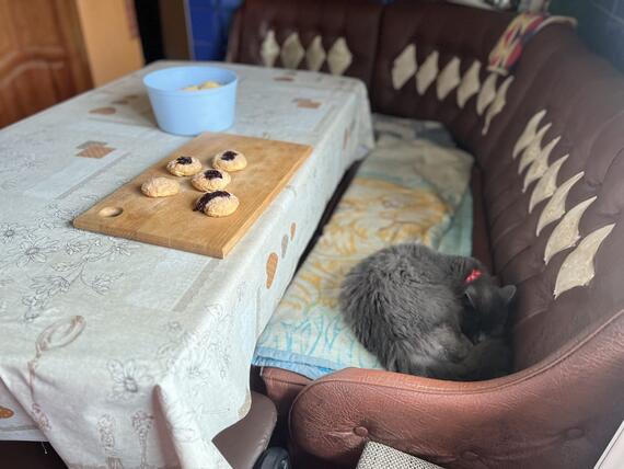 Cookies are laid out on a table and a cat is curled up on a sofa.