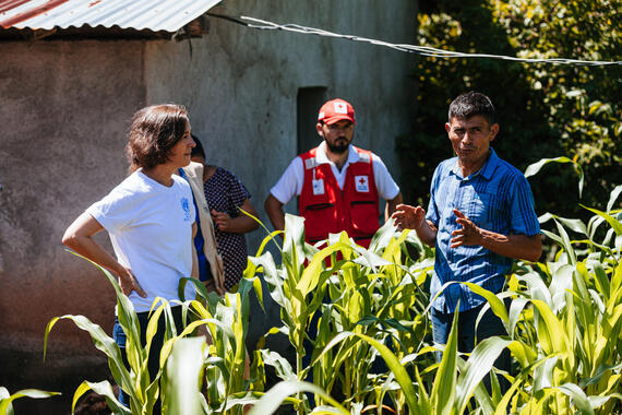 A man stands near a maize plants talking to a woman in a UN t-shirt and a man in a Red Cross vest.
