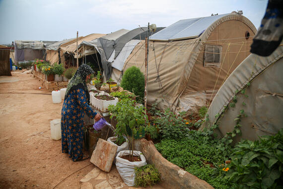 A woman waters a small garden outside a tent. Some more tents can be seen in the background.