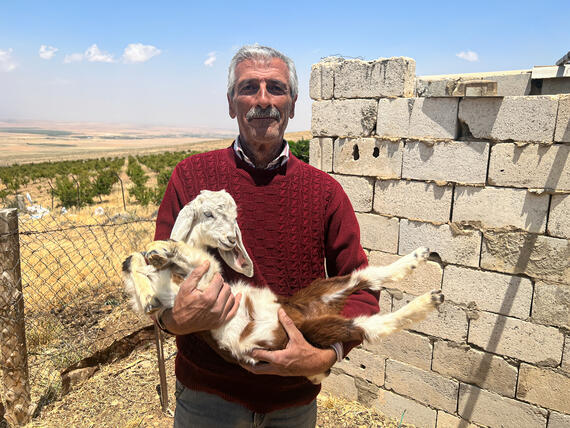 An older man faces the camera with a goat in his arm. He stands outside a fenced area.