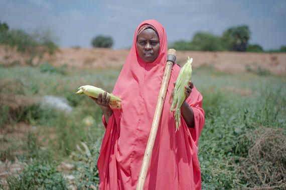 A woman stands in a field with a hoe over her shoulder and a corn of maize in each hand.