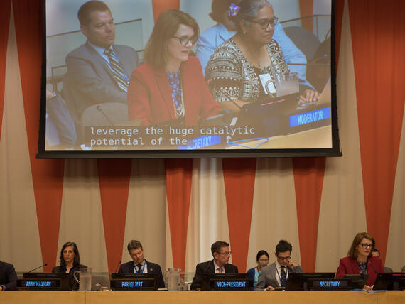 Panel discussion on climate change in humanitarian emergencies during the second day of the 2024 ECOSOC Humanitarian Affairs Segment