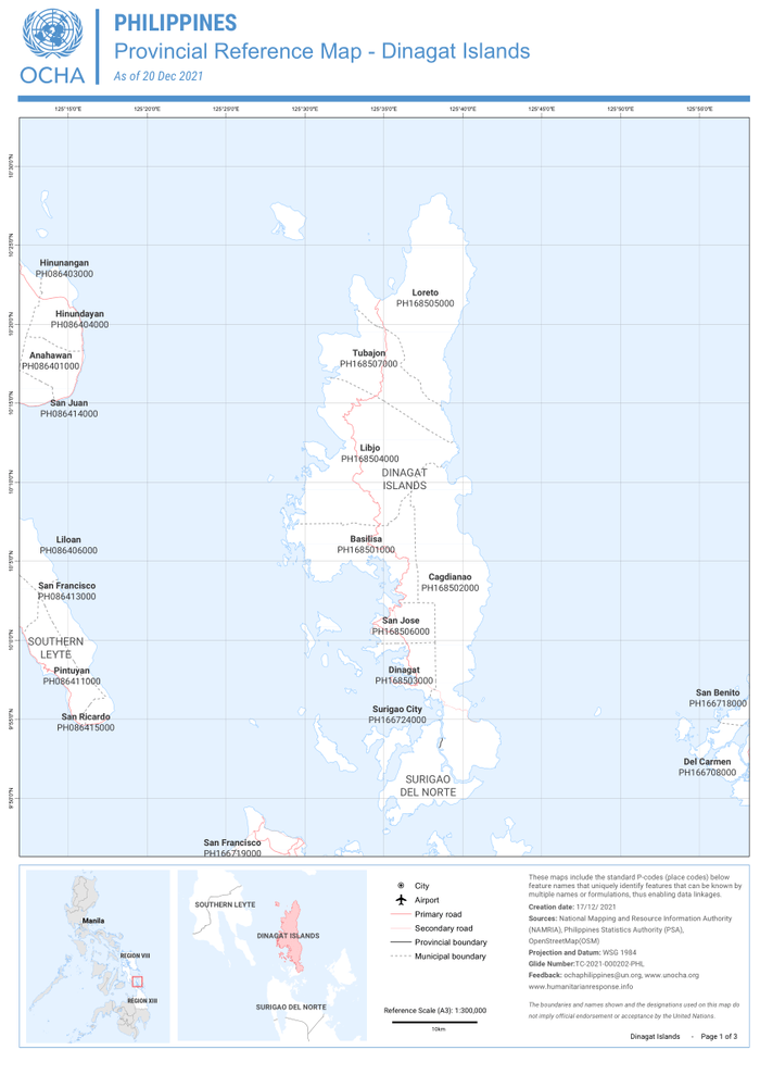 Preview of phl_affected_areas_by_province_admin2_a3_ref-map_dinagat_islands.pdf