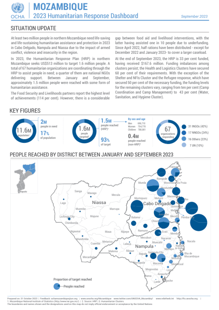 Document - Global Protection Cluster Mozambique Chalane Dec 2020