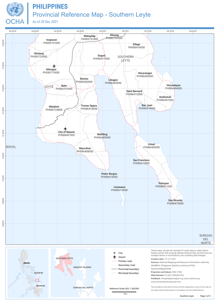 Preview of phl_affected_areas_by_province_admin2_a3_ref-map_southern_leyte.pdf