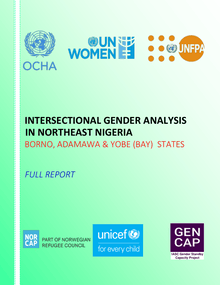 Intersectional Gender Analysis in Northeast Nigeria - Borno, Adamawa & Yobe  (Bay) States