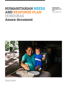 Preview of HNRP_2024_HONDURAS ING documento de anexos.pdf