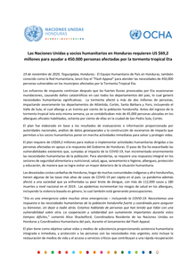 Preview of Comunicado Flash Appeal Español 19 nov-3.pdf