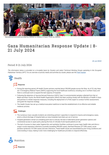 Preview of Gaza Humanitarian Response Update _ 8-21 July 2024 _ United Nations Office for the Coordination of Humanitarian Affairs - occupied Palestinian territory.pdf