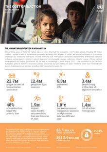 Preview of AFG-Cost-of-Inaction-20240606.pdf