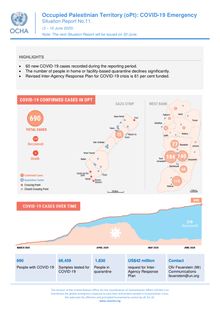 Occupied Palestinian Territory (OPT)