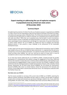 Preview of Expert Meeting on ANSAs and EWIPA - Summary Report.pdf