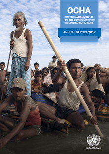 Preview of 2017 annual report.pdf