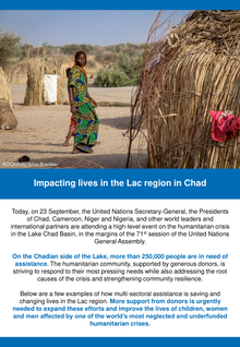 Preview of Impacting lives in the Lac region in Chad.pdf