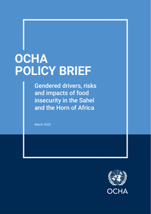 Preview of OCHA Policy Brief_Gender and Food Insecurity in the Sahel and the Horn of Africa.pdf