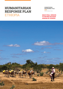 Preview of 2024_Ethiopia_Humanitarian_Response_Plan_Feb_2024.pdf